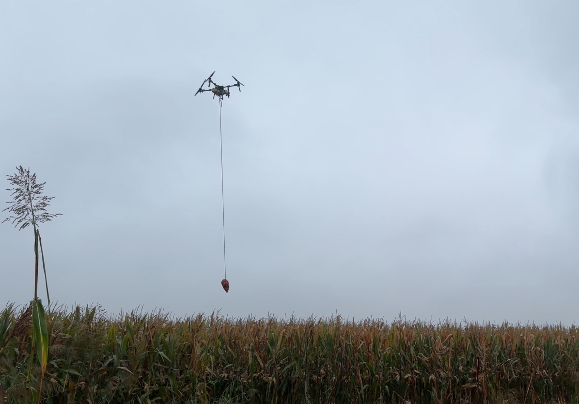 多措并举保三秋 精准服务促丰收——京信集团全力保障秋季农业生产