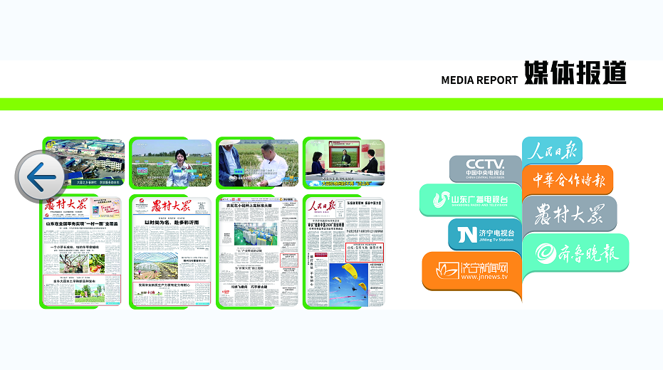 高产种植技术指导助力农民实现收益增长