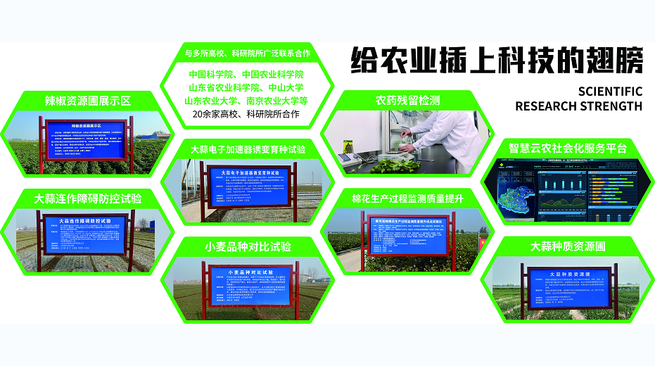 育苗技术驱动生态农业绿色转型