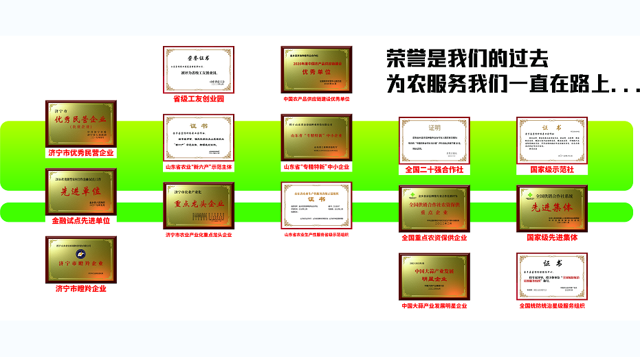 热销榜单：2026年最值得关注的种子推荐，让农业增产更简单